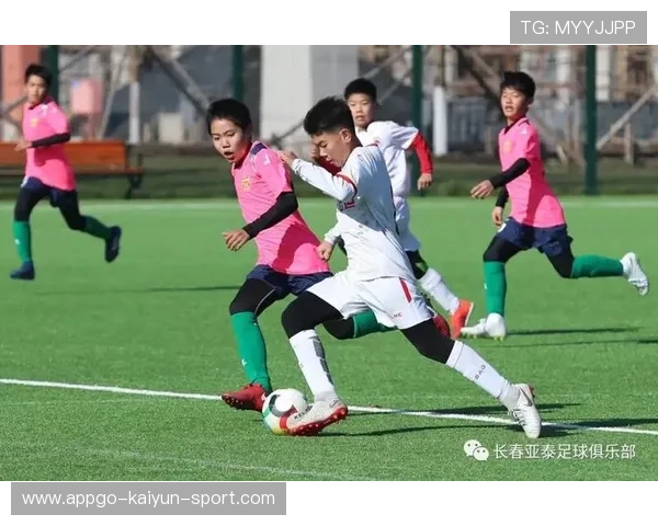 青少年心理辅导纳入青训课程核心模块