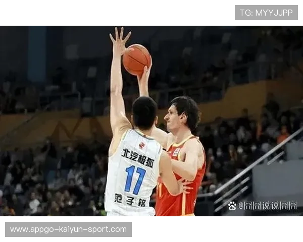 奋斗让中国篮球更加闪亮，奋斗篮球作文