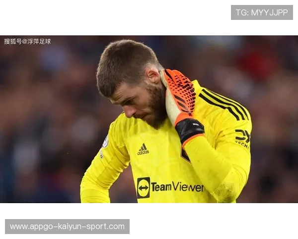 签了！沃尔夫斯堡捡到宝，埃里克森正式加盟！，埃里克 沃里斯