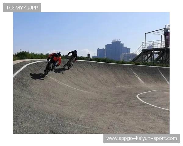 职业竞技体育中体能储备的周期性规划模型